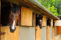 free Pandy Tudur stable construction quotes